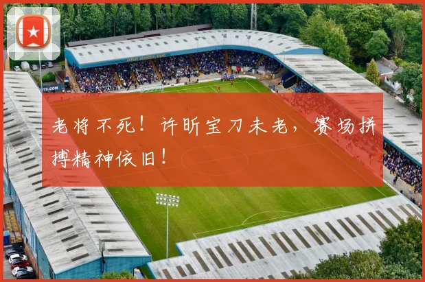 老将不死！许昕宝刀未老，赛场拼搏精神依旧！