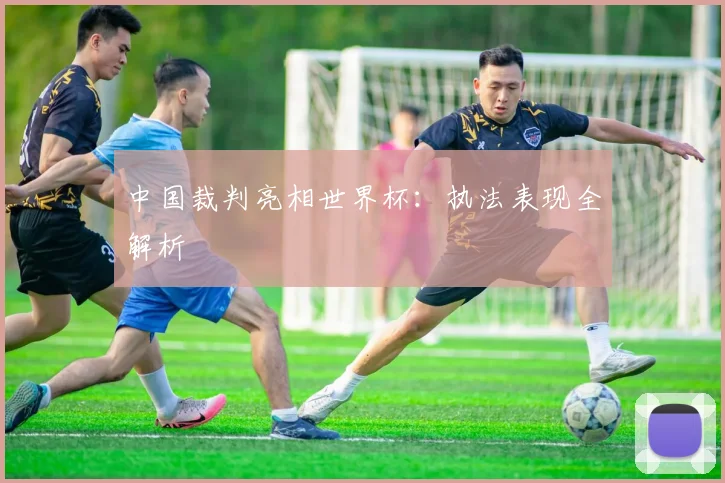 中国裁判亮相世界杯：执法表现全解析